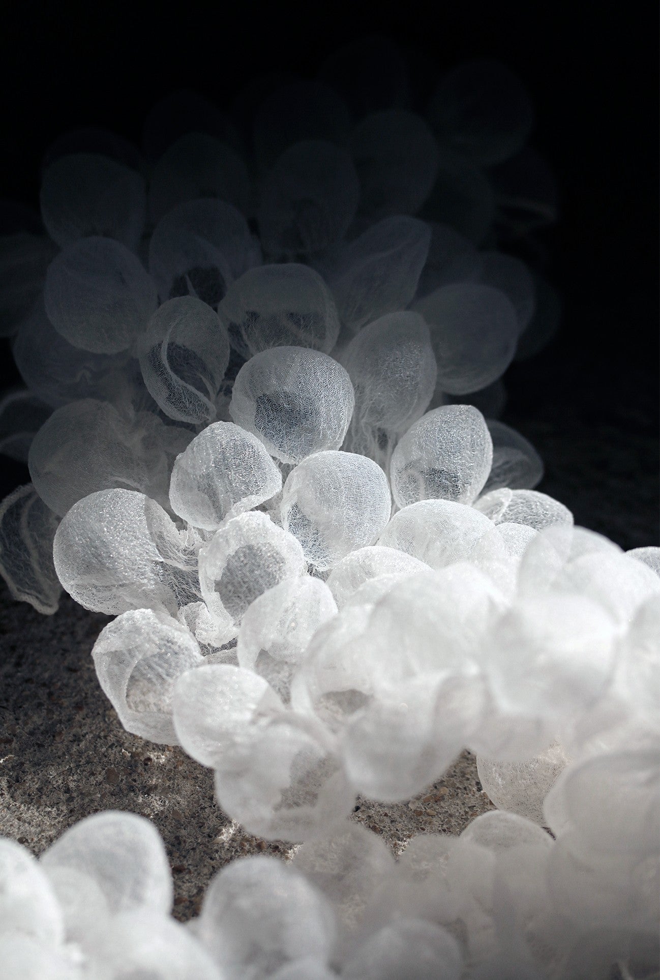 3D Bubble Seersucker Fabric - Sheer Heat-Set Lace for Couture Design
