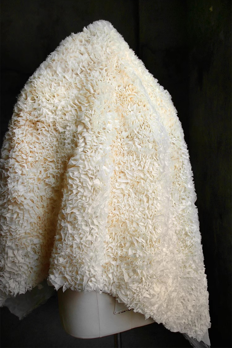 Coral Reef
