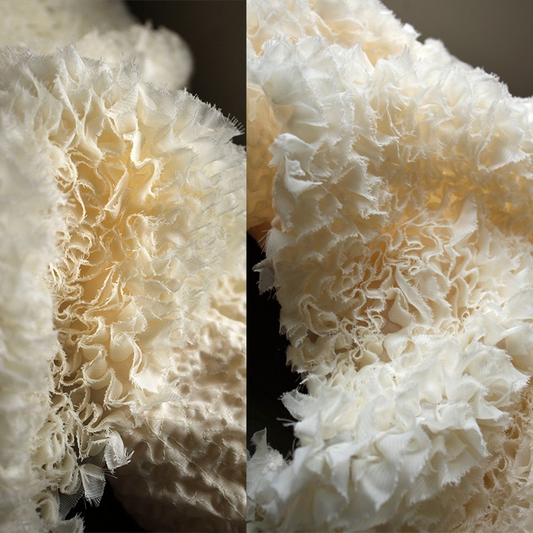 Coral Reef