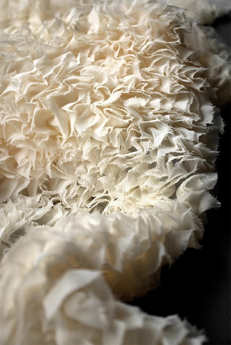Coral Reef