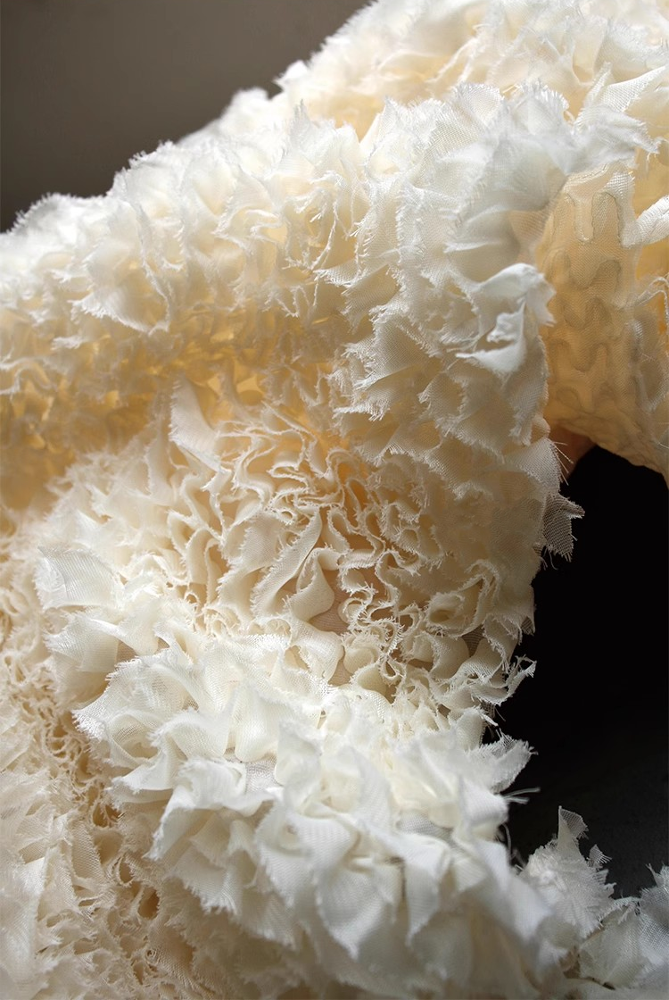 Coral Reef